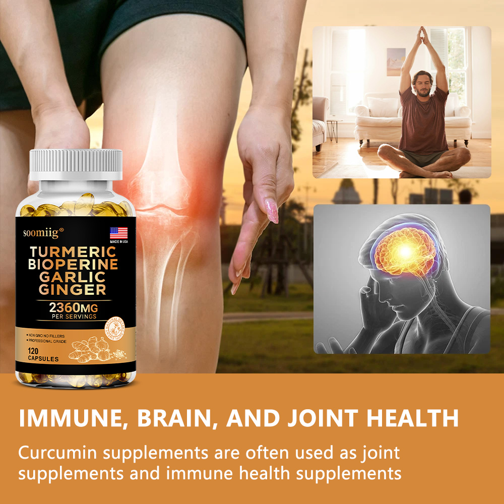 ターメリック・ジンジャー・サプリメント（ニンニク、クルクミン - Turmeric Curcumin Capsule のレビューと価格
