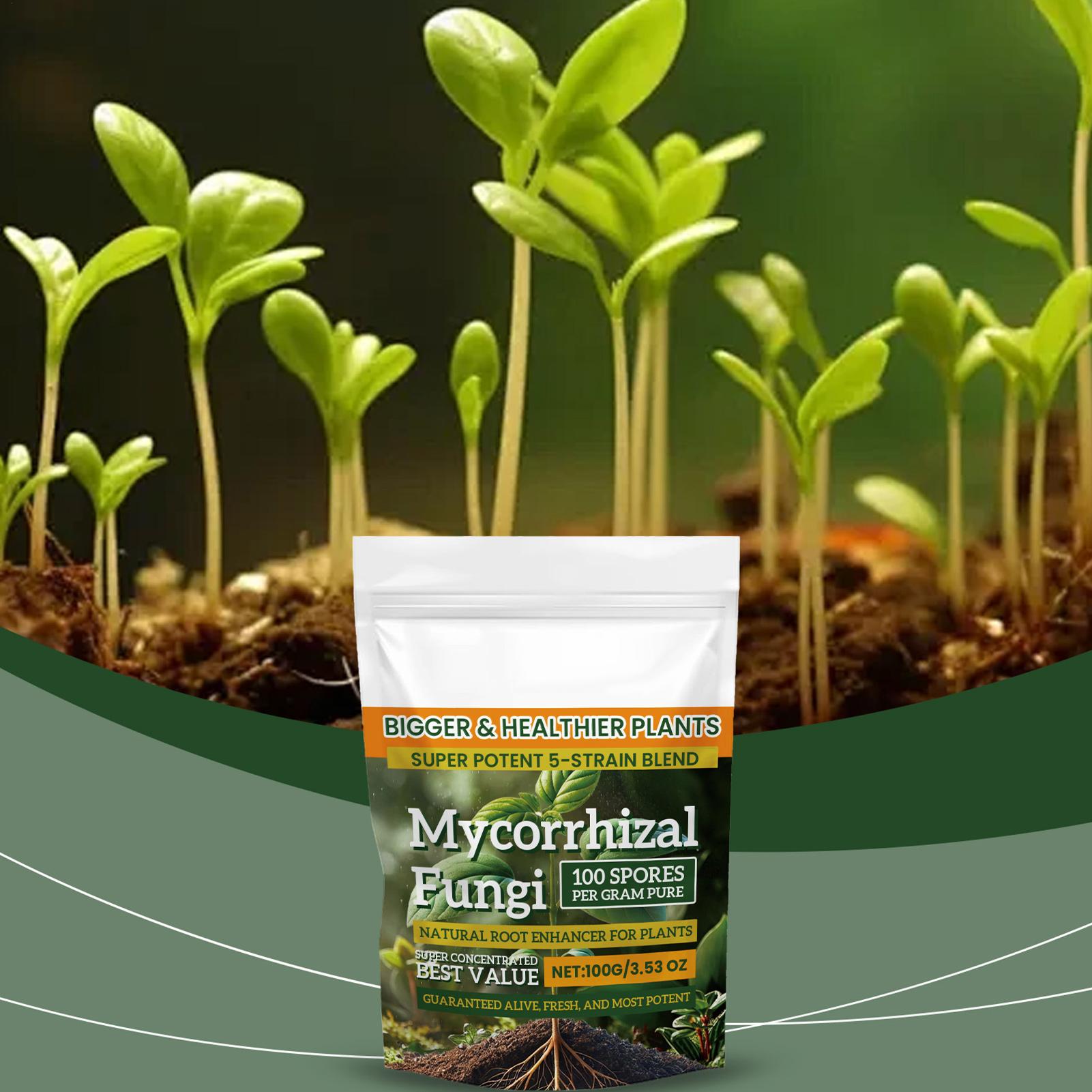 100 グラムの根強化剤粉末、自然栄養バランスフォーミュラ、 - Roots Nutrition & Fitness Inglewood Photos のレビューと価格