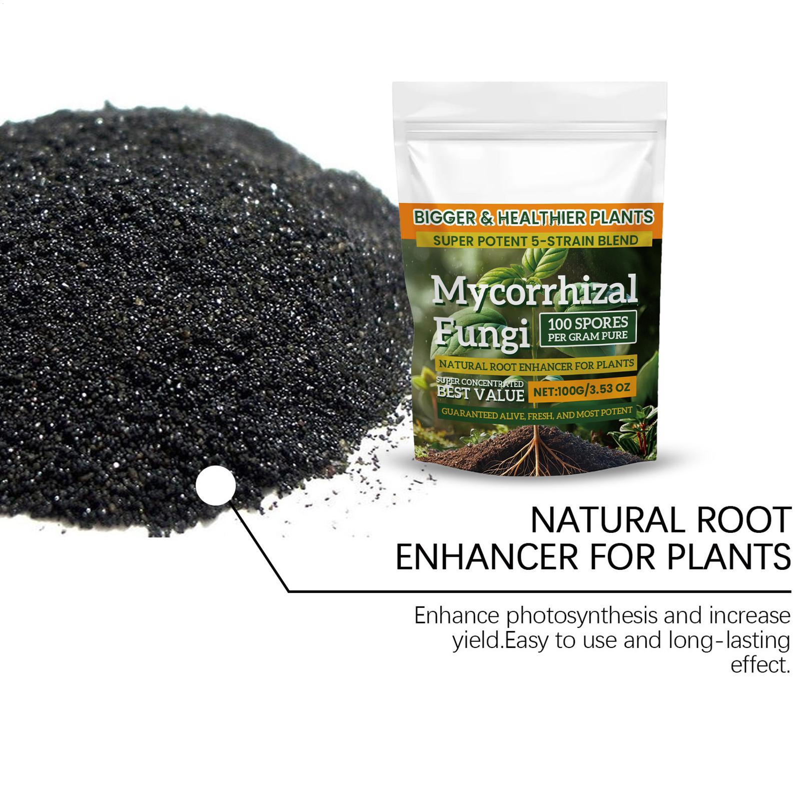 100 グラムの根強化剤粉末、自然栄養バランスフォーミュラ、 - Roots Nutrition & Fitness Inglewood Photos のレビューと価格
